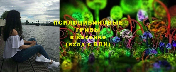 не бодяженный Галич